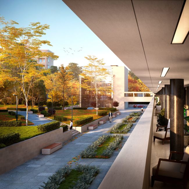 ������ ����������� � �������������� ������� ����������� �������� ������� ����-������� ���������� (2015�2017) � �������� ���������