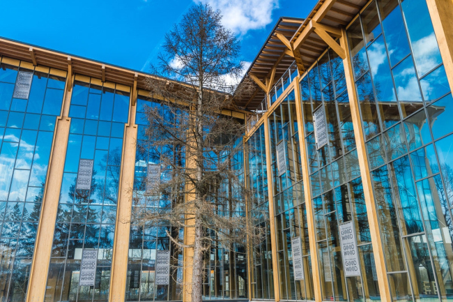 Good Wood Plaza. ���������� � ����� www.goodwoodplaza.ru 