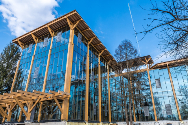 Good Wood Plaza. ���������� � ����� www.goodwoodplaza.ru 