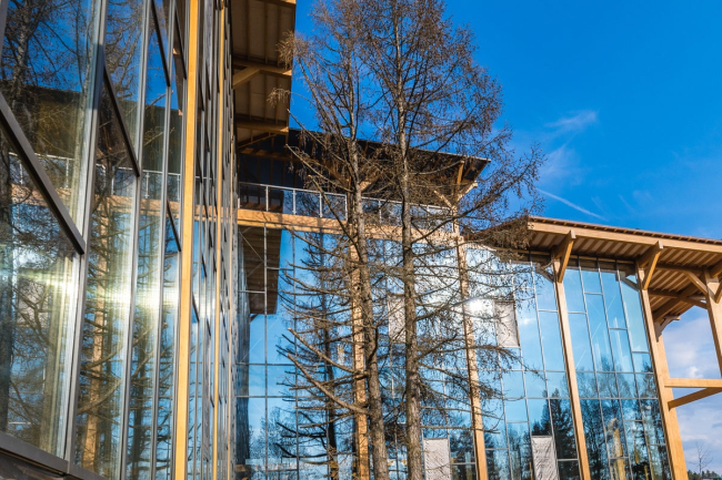 Good Wood Plaza. ���������� � ����� www.goodwoodplaza.ru 