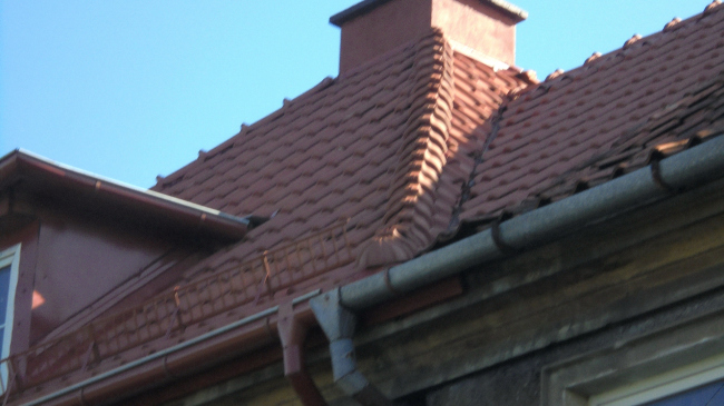 �ϸ����� ��� ����� ������������ �������. ���� �� ������ ����� 4-6 � ����� ���������