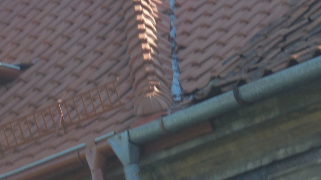 �ϸ����� ��� ����� ������������ �������. ���� �� ������ ����� 4-6 � ����� ���������