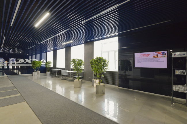 �������������� ����������������� �����. Milodamalo Studio. ���������� ������������� ���������� ProjectNext 