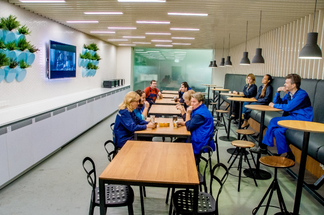 ������������������ ����� � ������������. ������������� ���� ������ ����� � ���������. ���������� ������������� ���������� ProjectNext 