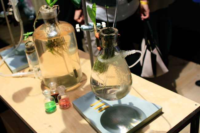 �������� ������ ��-��� �����?� � ����� ���������. ���� ������, ������������ ������. ����� 2017. ���������� � ���� ����������, ����.��