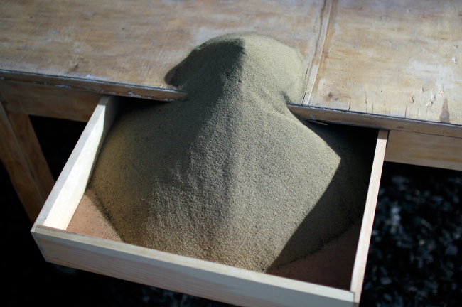 �������� ������ ��-��� �����?� � ����� ���������. ���� ������, ������������ ������. ����� 2017. ���������� � ���� ����������, ����.��