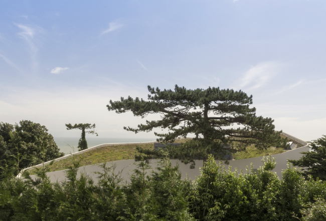 ��� Ness Point, ����. 
Tonkin Liu. ���� � Greg Storrar
