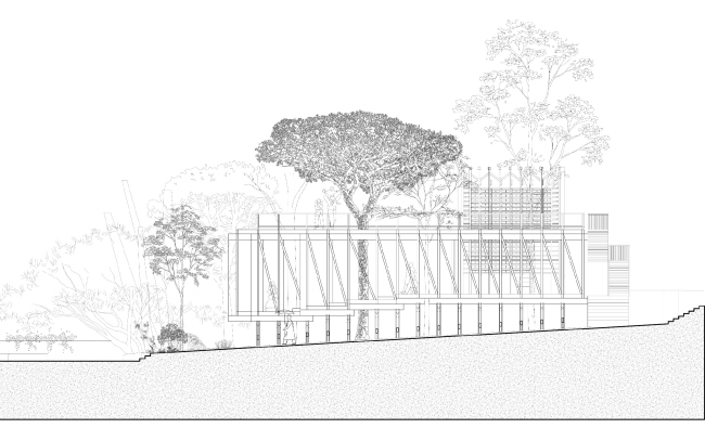 �������� ������ ������� ���������. �������� ������. ������ ������� ���������. ����, 2017