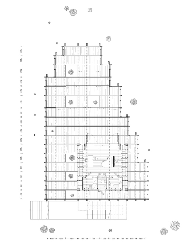 �������� ������ ������� ���������. �������� ������. ������ ������� ���������. ����, 2017