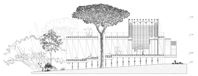 �������� ������ ������� ���������. �������� ������. ������ ������� ���������. ����, 2017