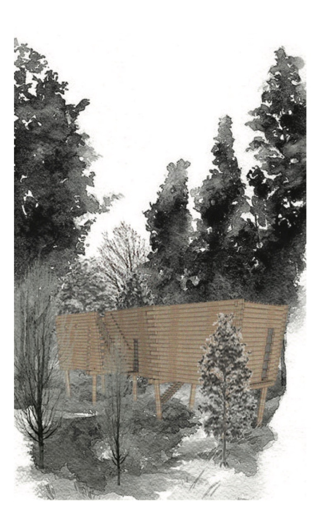 �������� ������ ����� ��������. �������� ������. ������ ������� ���������. ����, 2017