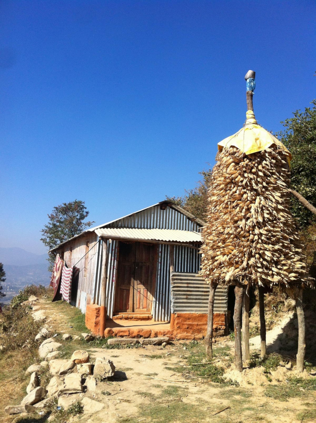 ����� ��� � �������� ��������� �������� �� �����-������. ���� � ��������� ���������