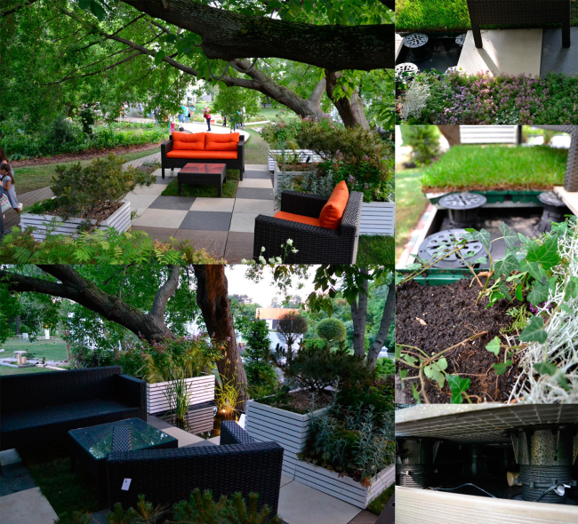 ����� �������� BUZON ���� �� ����Ż. ������������� BUZON