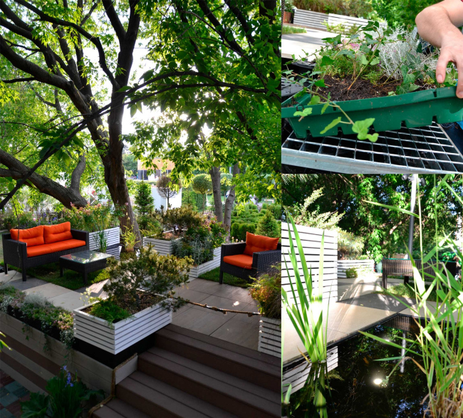 ����� �������� BUZON ���� �� ����Ż. ������������� BUZON