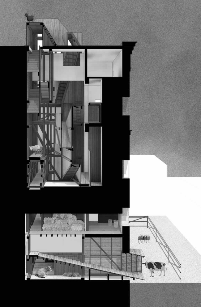 �������� ������ ���������� �����������. ������ ���������� ���������. ����, 2017