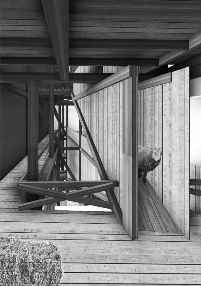 �������� ������ ���������� �����������. ������  ���������� ���������. ����, 2017