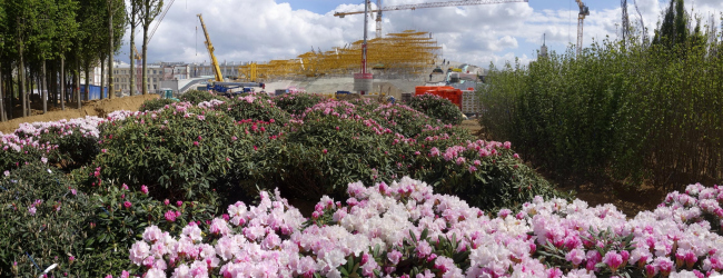 Zaryadye Park. Construction photo  Maria Krylova