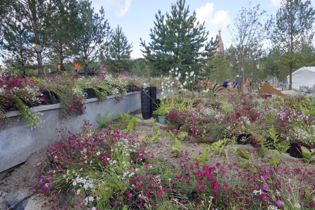 ���� �������� � �������� �������������. ���� � ����� �������