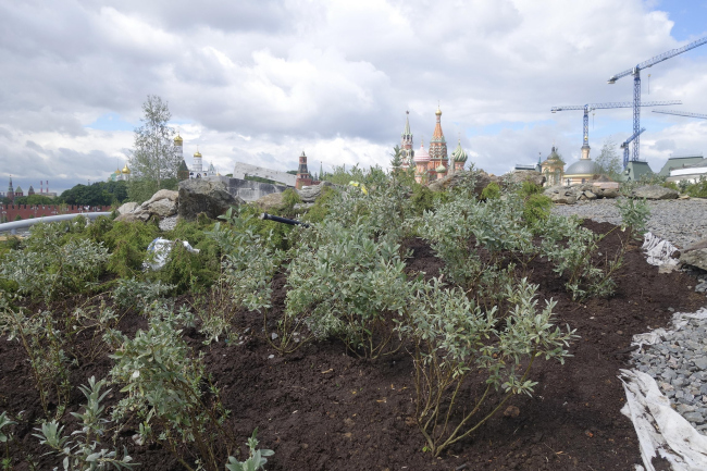 Zaryadye Park. Construction photo  Maria Krylova