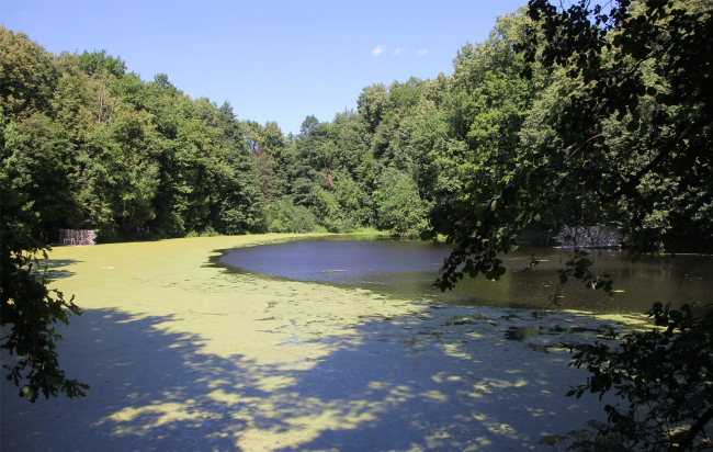 ������������-2017. ������ ������� ���. �����, � ������� ����� ��� �����: ������������� ������, ����������� �����. ���������� � ���� ����������, ����.��