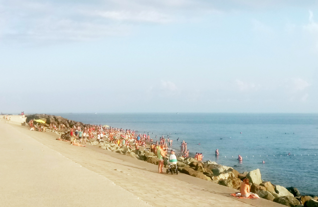 �� ������������� ����� ������ ������ � ���������� ���� ����� 50 ������. ������ ���������� �������� �� 
������������� ���������� ��������� ����, ��������� �������-��������� ������. ����������: ����� �������