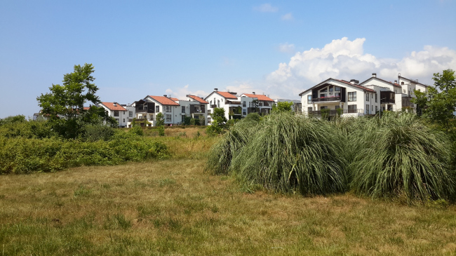 ���������������� ���� � ������� ���������. ����������: ����� �������