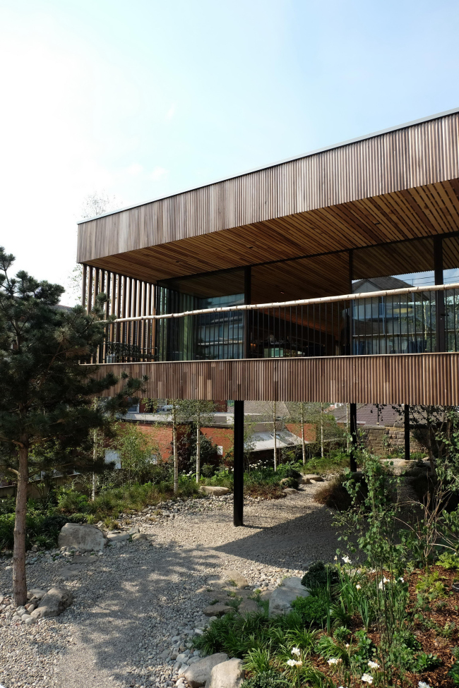 �������������� ����� ����� ������������ ���������� ��������� � Jasmin Sohi