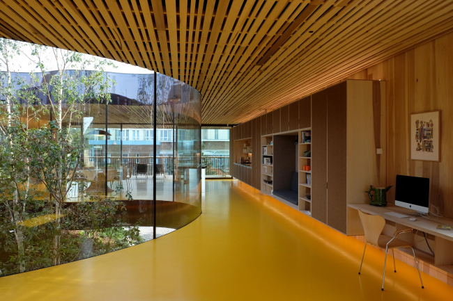 �������������� ����� ����� ������������ ���������� ��������� � Jasmin Sohi