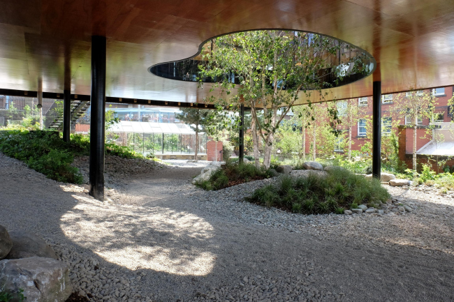 �������������� ����� ����� ������������ ���������� ��������� � Jasmin Sohi