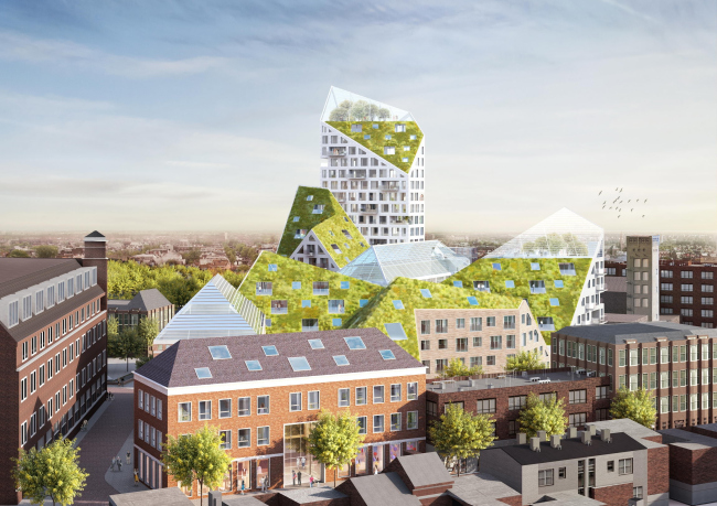 ����� �������� Nieuw Bergen