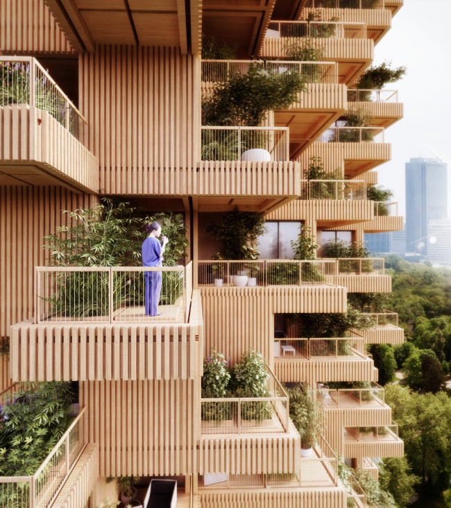 Tree Tower Toronto  Penda 