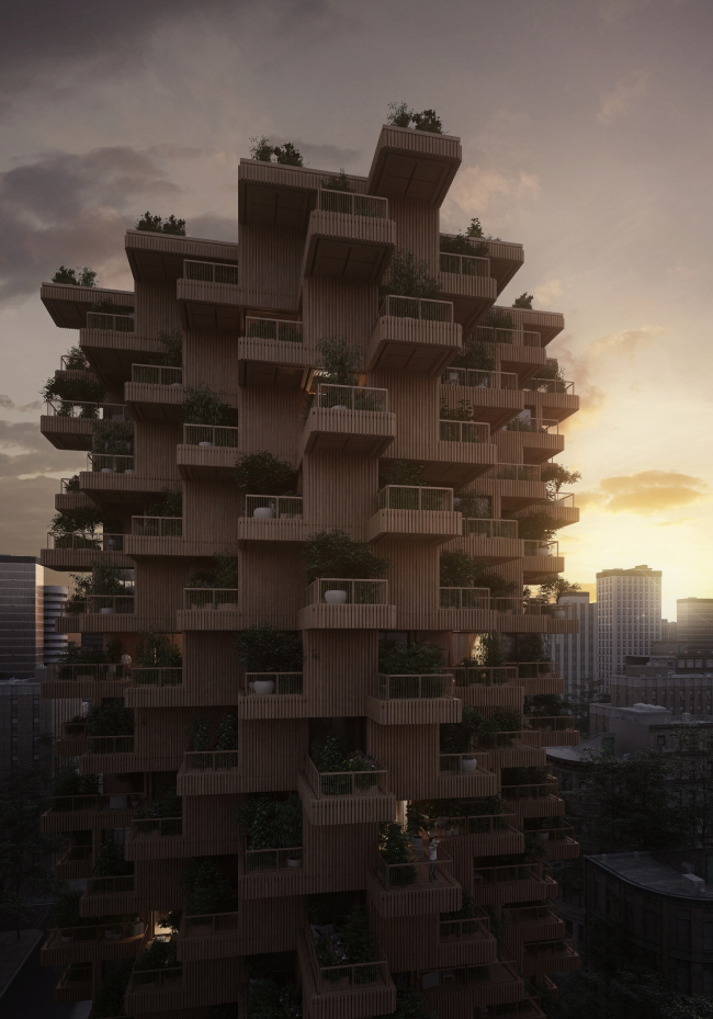 Tree Tower Toronto  Penda 