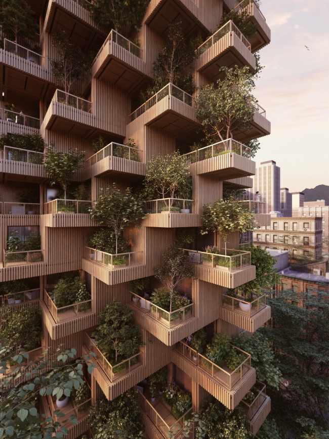 Tree Tower Toronto  Penda 