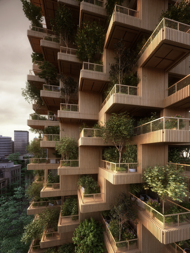 Tree Tower Toronto  Penda 