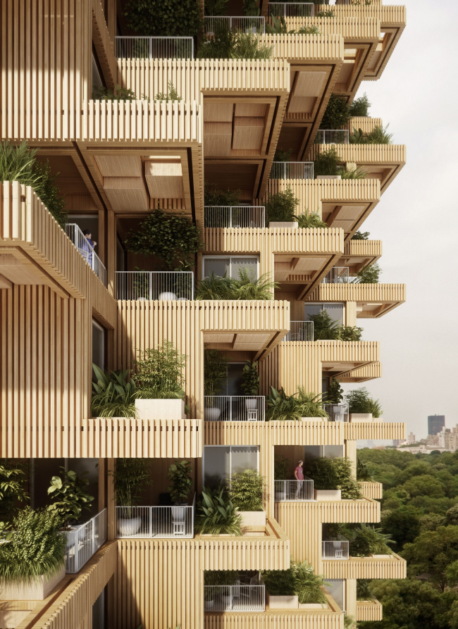 Tree Tower Toronto � Penda 