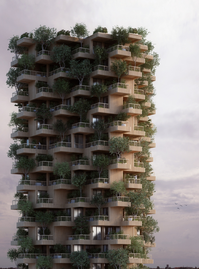 Tree Tower Toronto  Penda 