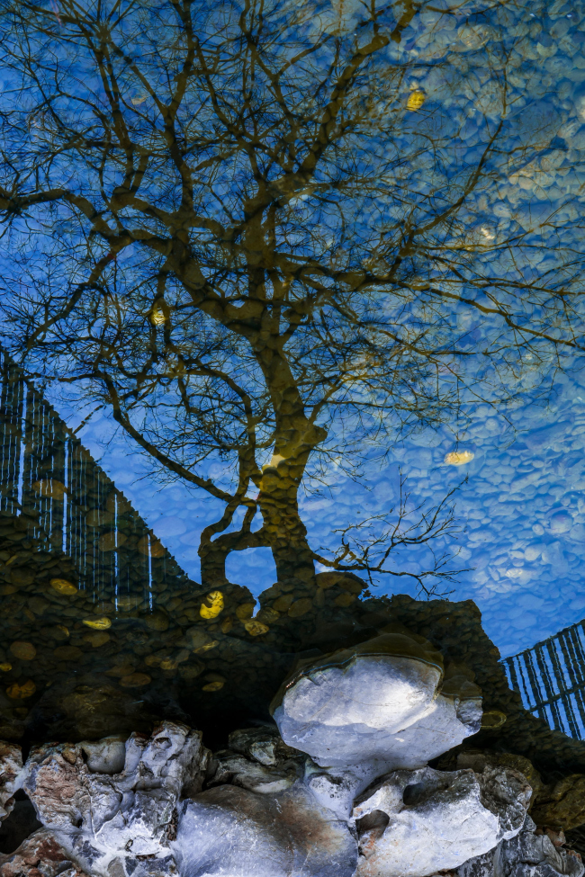 ����� ���� 8/10� � CreatAR