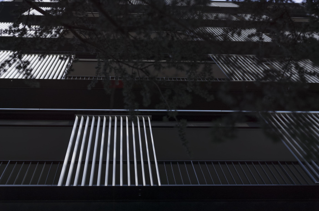 ����� �������� � ������ ������ � Stephen Gill