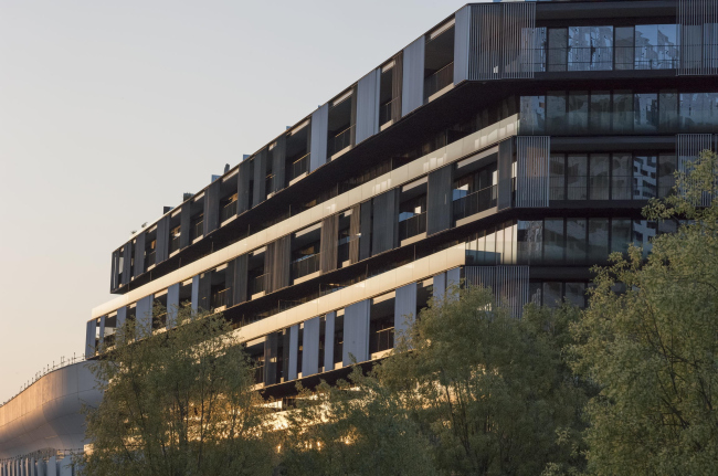 ����� �������� � ������ ������ � Stephen Gill