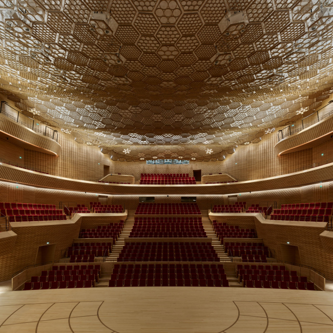 ����� La Seine Musicale � Didier Boy de la Tour