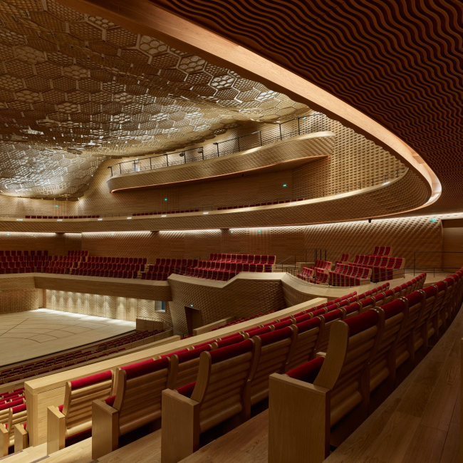 ����� La Seine Musicale � Didier Boy de la Tour