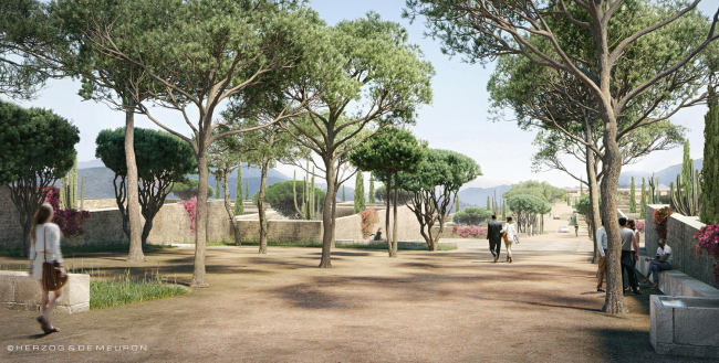 �������� ��������� � Herzog & de Meuron