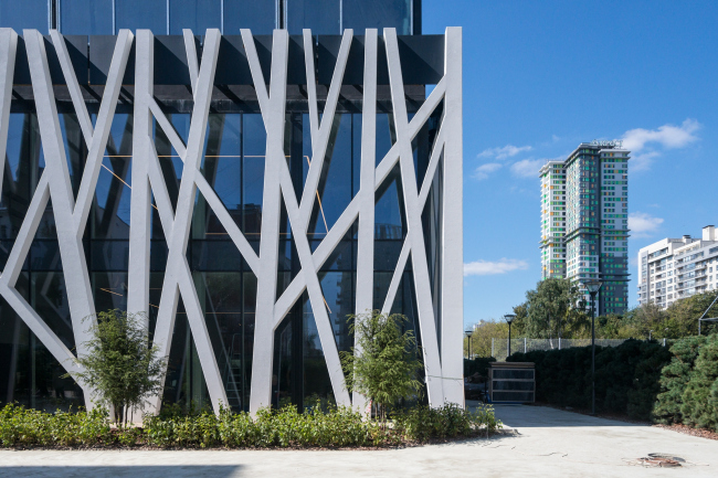 ����������� ��������. ������. ���������� � �������� ����� / ������������� �����