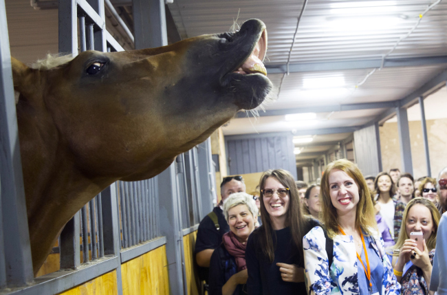 ����-��� � ���� ����. ���������� � ������� ������