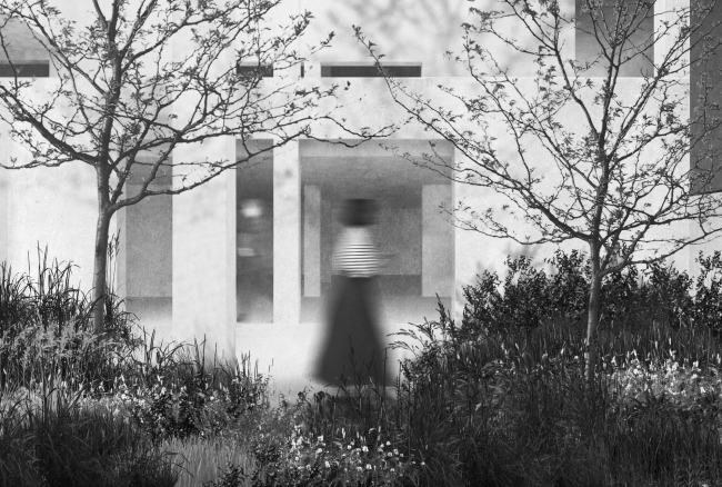 ������ ������ �����������, 2 ���� ����.  ���������� ����� � �����. ����������� ������������� ���� 