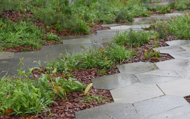 ��������. ���� �������. ���������� � ���� ������