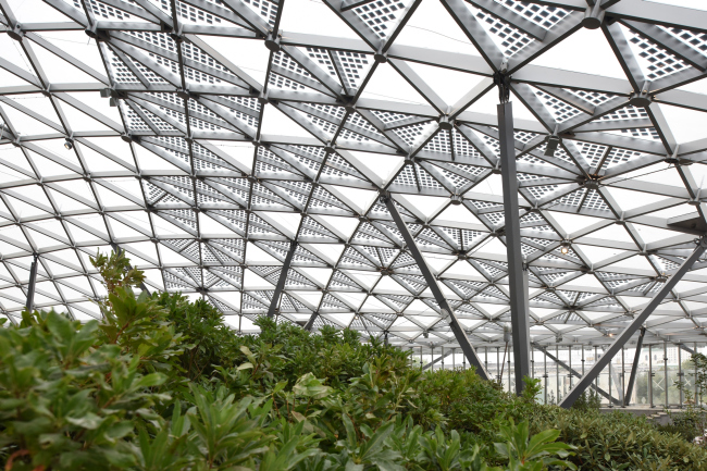 ����������� ���� ��� �����������. ���� �������. ���������� � ���� ������