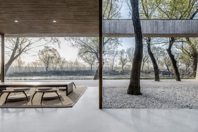   .  . : Wang Ning, Jin Weiqi  Archstudio