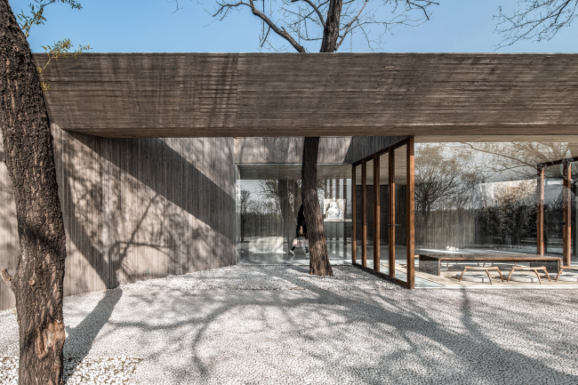   . . : Wang Ning, Jin Weiqi  Archstudio