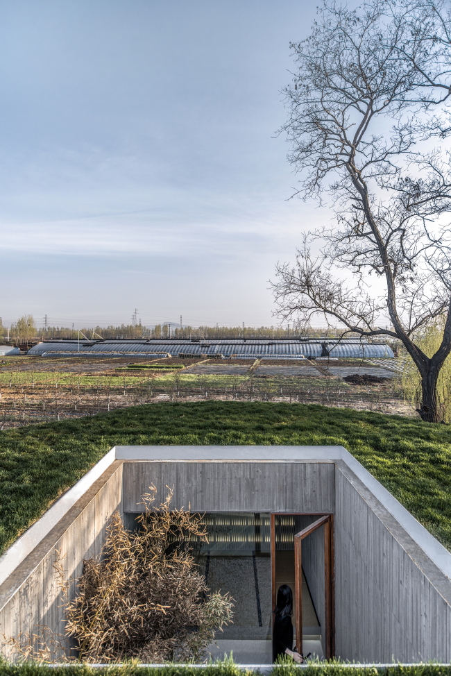 ���������� ���������� ����. ����. ���������: Wang Ning, Jin Weiqi � Archstudio
